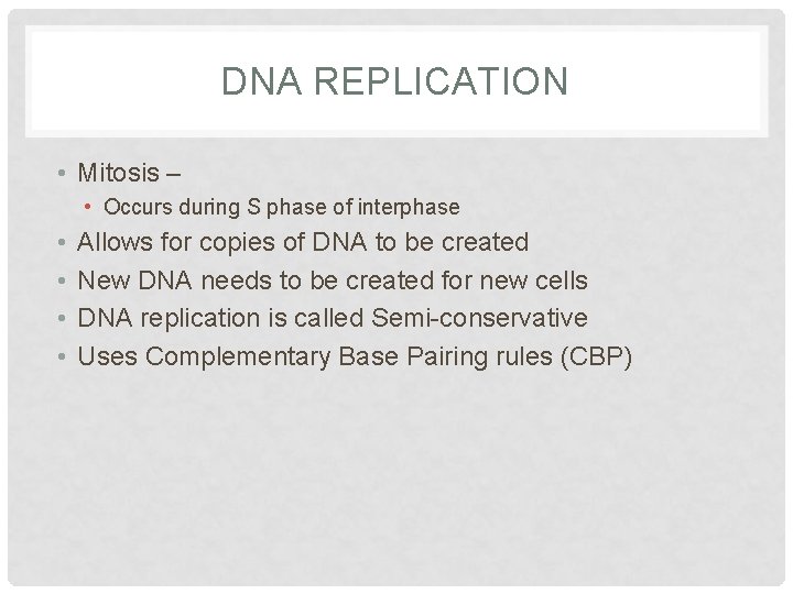 DNA REPLICATION • Mitosis – • Occurs during S phase of interphase • •