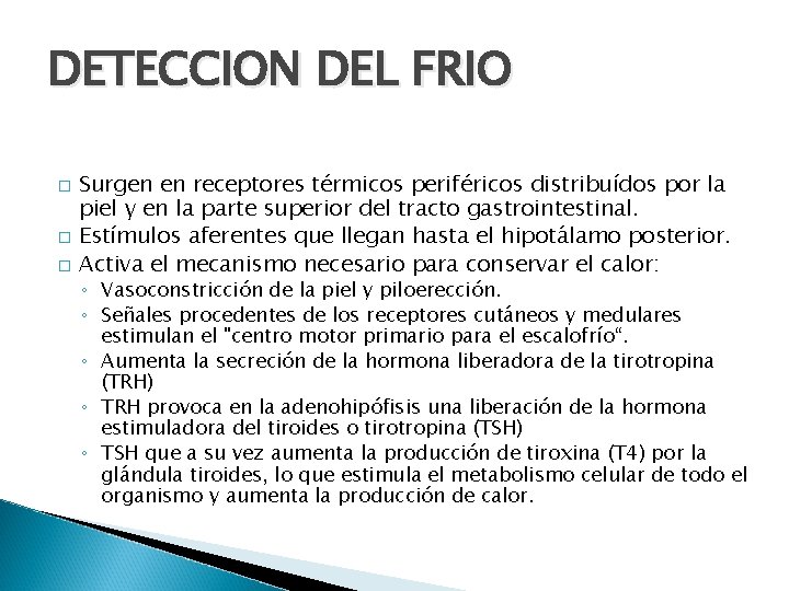 DETECCION DEL FRIO � � � Surgen en receptores térmicos periféricos distribuídos por la