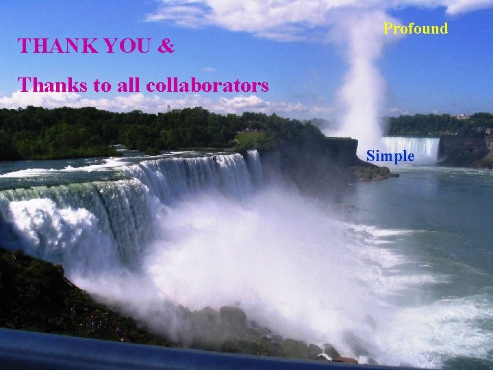 THANK YOU & Profound Thanks to all collaborators Simple 