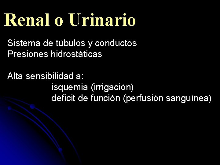 Renal o Urinario Sistema de túbulos y conductos Presiones hidrostáticas Alta sensibilidad a: isquemia