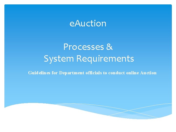 e Auction Processes System Requirements Guidelines for Department