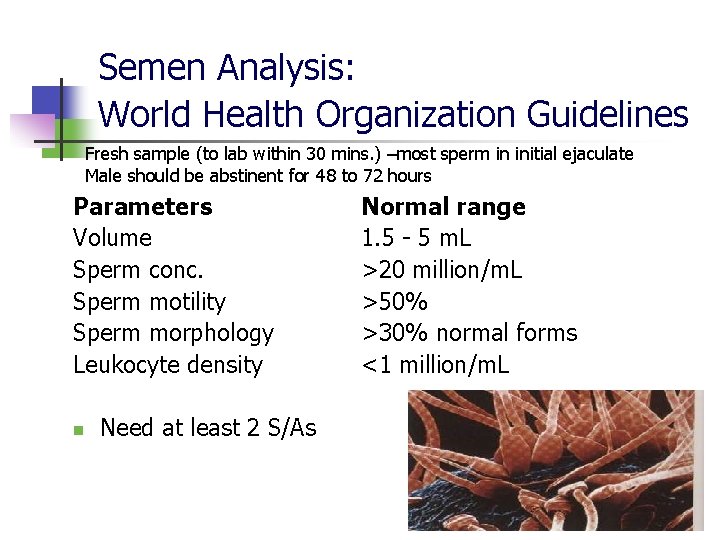 Semen Analysis: World Health Organization Guidelines Fresh sample (to lab within 30 mins. )