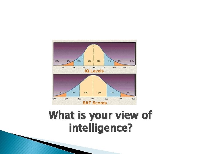 What is your view of intelligence? 