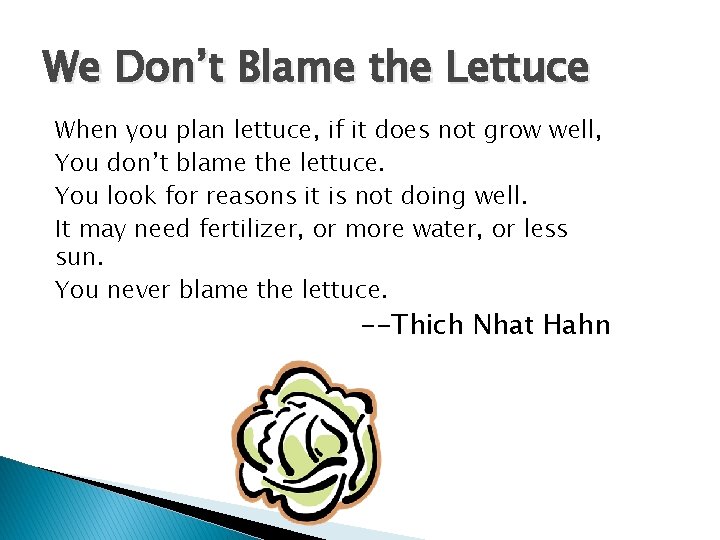 We Don’t Blame the Lettuce When you plan lettuce, if it does not grow