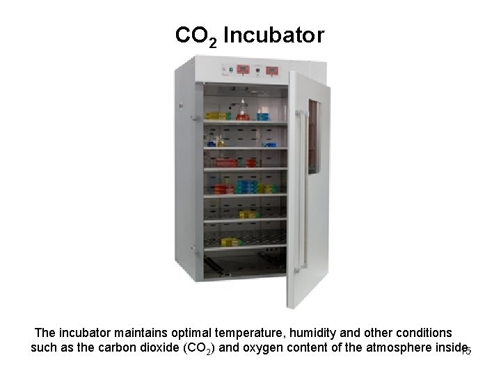 CO 2 Incubator The incubator maintains optimal temperature, humidity and other conditions such as
