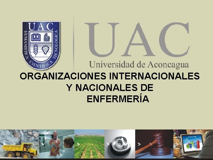 ORGANIZACIONES INTERNACIONALES FUNDAMENTOS Y NACIONALES DEDE ENFERMERÍA SALUD 