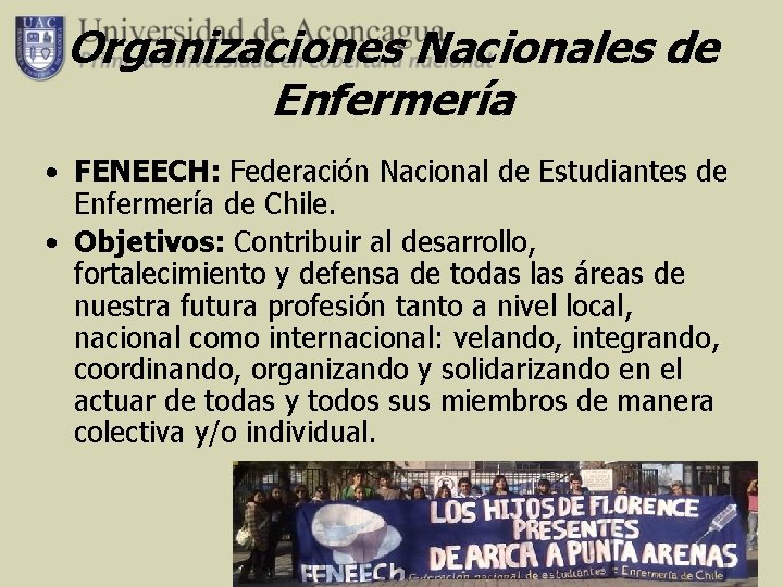 Organizaciones Nacionales de Enfermería • FENEECH: Federación Nacional de Estudiantes de Enfermería de Chile.