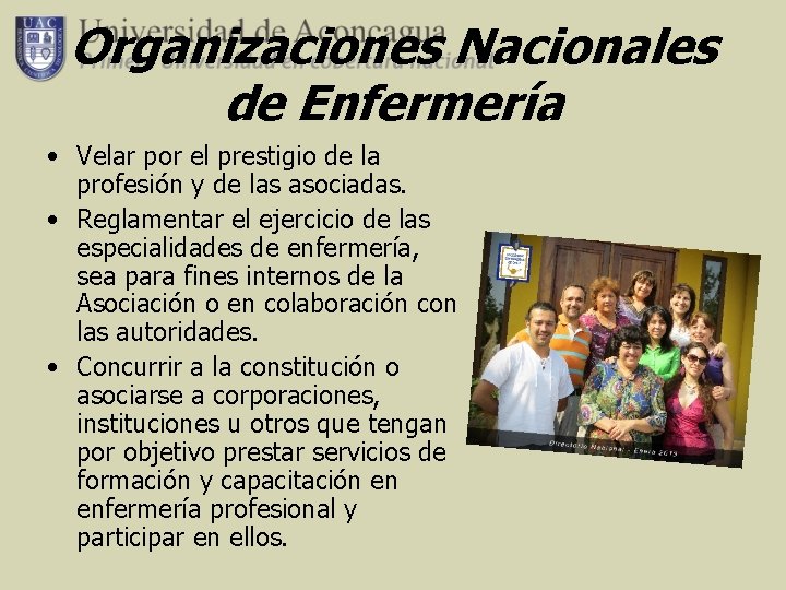 Organizaciones De Enfermeria A Nivel Internacional Nacional Y Estatal