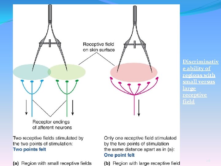 Discriminativ e ability of regions with small versus large receptive field 26 