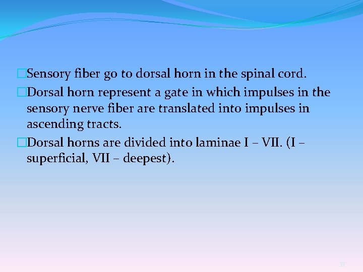 �Sensory fiber go to dorsal horn in the spinal cord. �Dorsal horn represent a