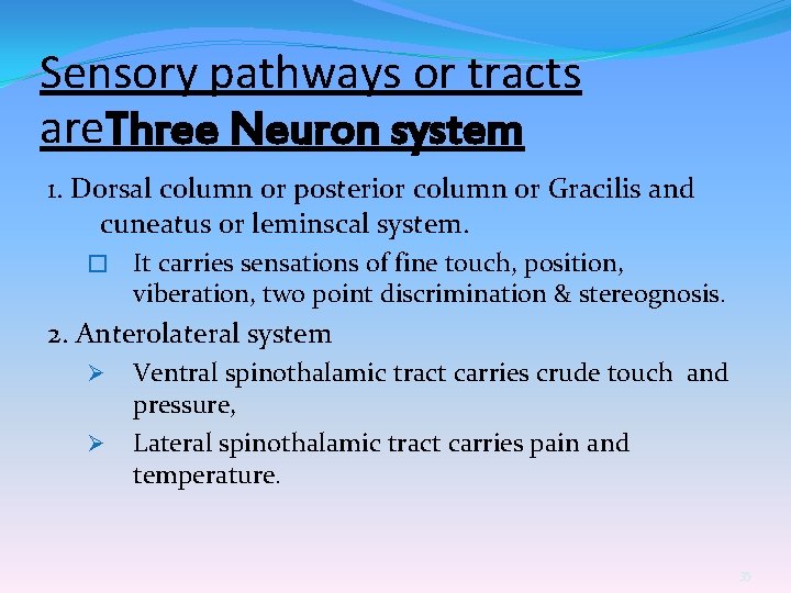 Sensory pathways or tracts are. Three Neuron system 1. Dorsal column or posterior column