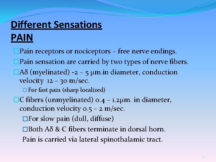 Different Sensations PAIN �Pain receptors or nociceptors – free nerve endings. �Pain sensation are