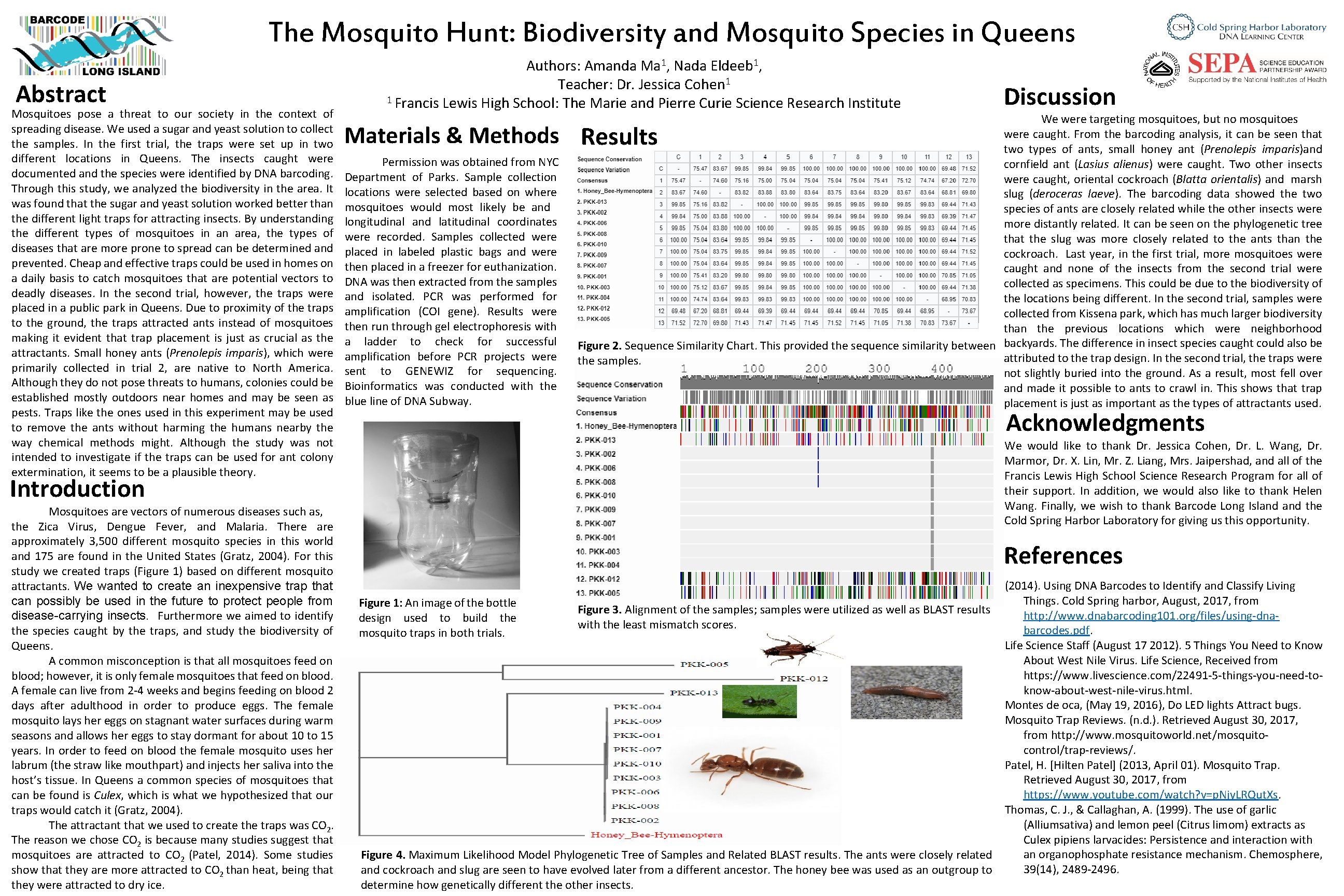 The Mosquito Hunt: Biodiversity and Mosquito Species in Queens Abstract Mosquitoes pose a threat