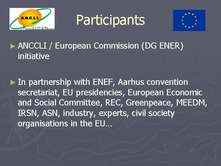 Participants ► ANCCLI / European Commission (DG ENER) initiative ► In partnership with ENEF,