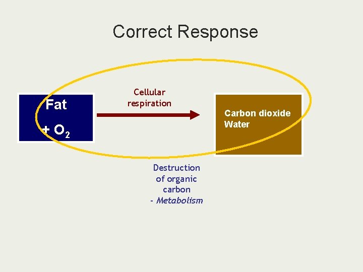 Correct Response Fat Cellular respiration Carbon dioxide Water + O 2 Destruction of organic