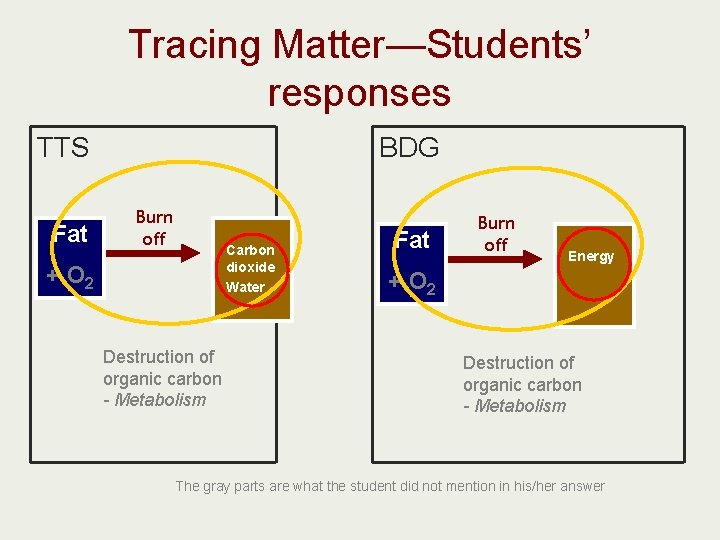 Tracing Matter—Students’ responses TTS Fat BDG Burn off Carbon dioxide Water + O 2