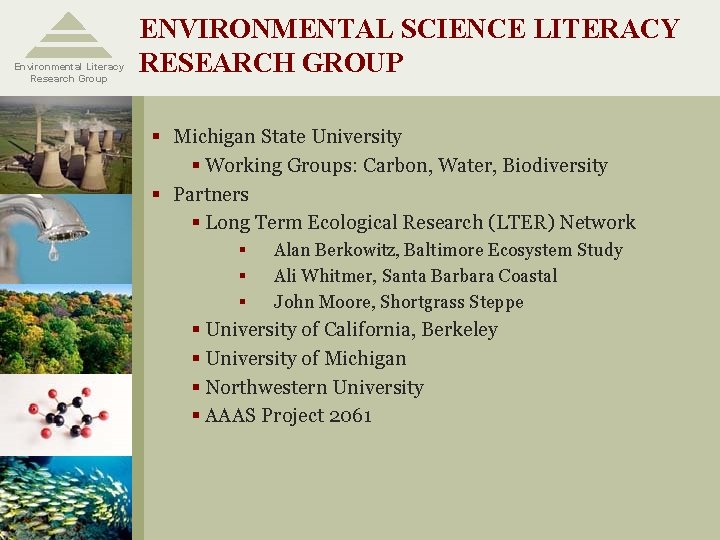 Environmental Literacy Research Group ENVIRONMENTAL SCIENCE LITERACY RESEARCH GROUP § Michigan State University §