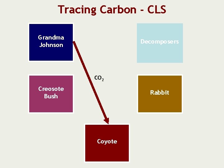 Tracing Carbon - CLS Grandma Johnson Decomposers CO 2 Creosote Bush Rabbit Coyote 