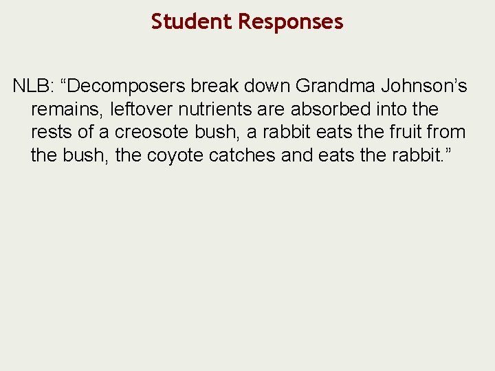 Student Responses NLB: “Decomposers break down Grandma Johnson’s remains, leftover nutrients are absorbed into