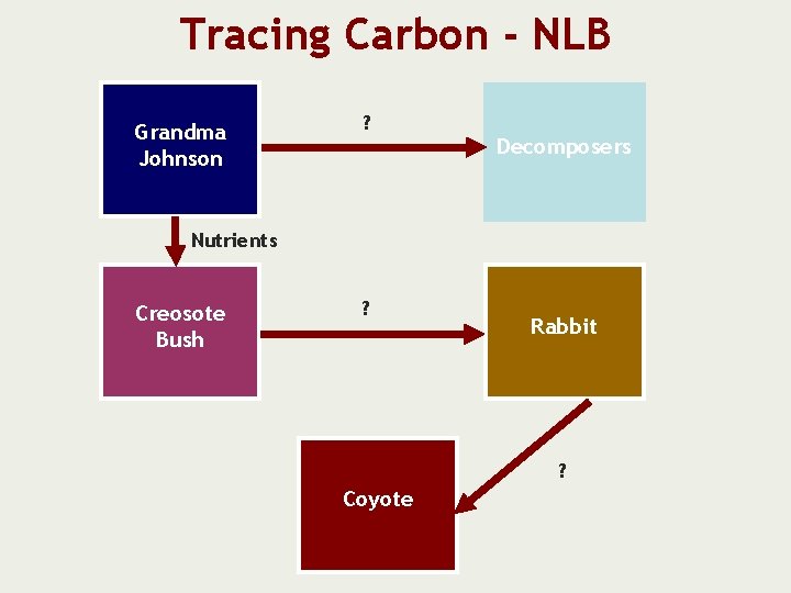 Tracing Carbon - NLB Grandma Johnson ? Decomposers Nutrients Creosote Bush ? Rabbit ?