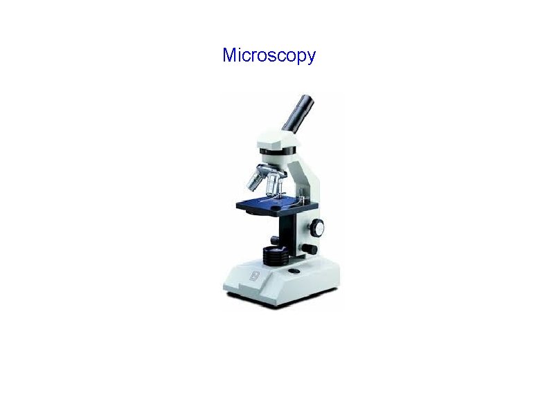 Microscopy 