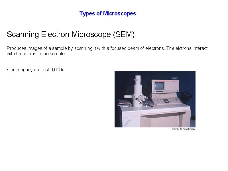 Types of Microscopes Scanning Electron Microscope (SEM): Produces images of a sample by scanning
