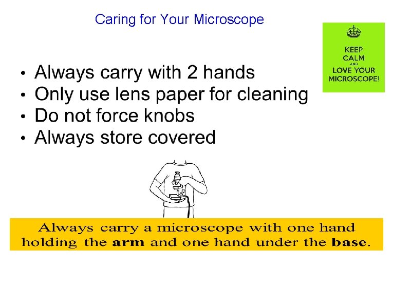 Caring for Your Microscope 