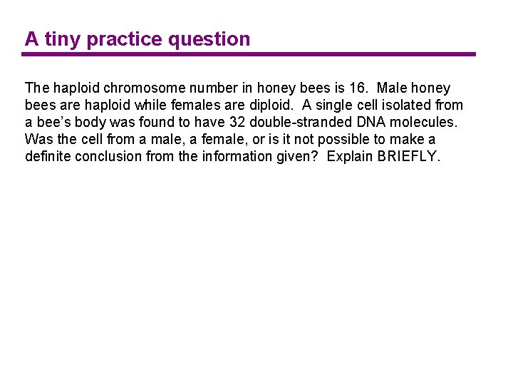 A tiny practice question The haploid chromosome number in honey bees is 16. Male