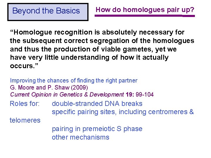 Beyond the Basics How do homologues pair up? “Homologue recognition is absolutely necessary for