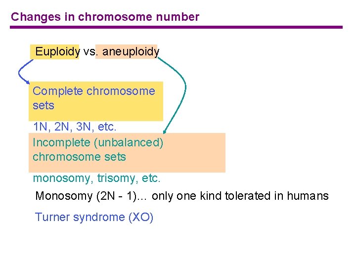 Changes in chromosome number Euploidy vs. aneuploidy Complete chromosome sets 1 N, 2 N,