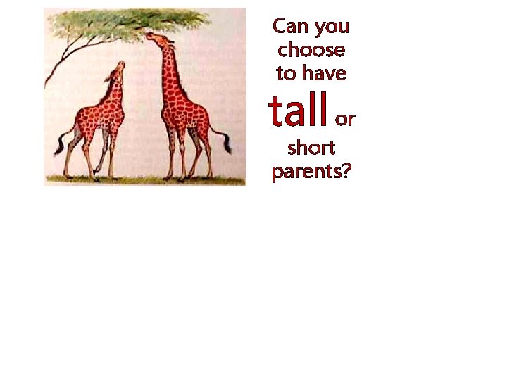 Can you choose to have tall or short parents? 