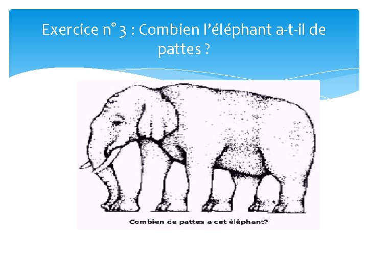 Exercice n° 3 : Combien l’éléphant a-t-il de pattes ? 