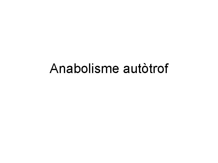Anabolisme autòtrof 