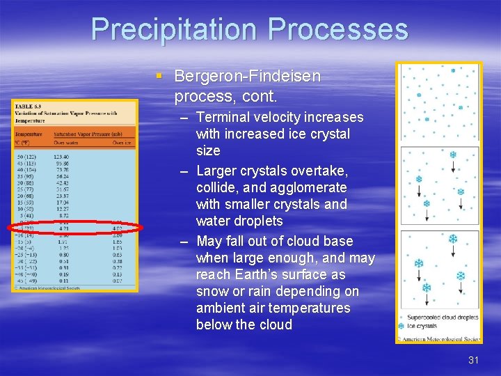 Precipitation Processes § Bergeron-Findeisen process, cont. – Terminal velocity increases with increased ice crystal