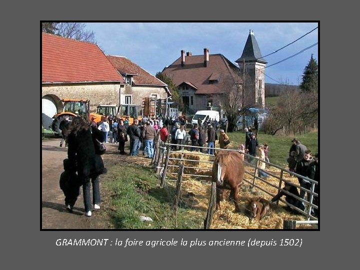 GRAMMONT : la foire agricole la plus ancienne (depuis 1502) 