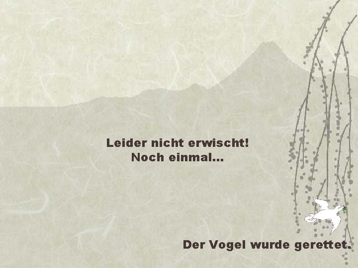 Leider nicht erwischt! Noch einmal… Der Vogel wurde gerettet. 