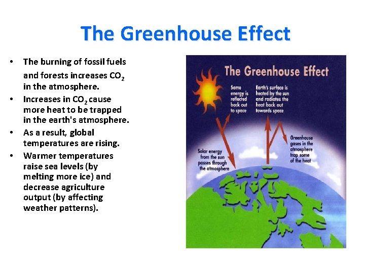 The Greenhouse Effect • • The burning of fossil fuels and forests increases CO The Greenhouse Effect • • The burning of fossil fuels and forests increases CO