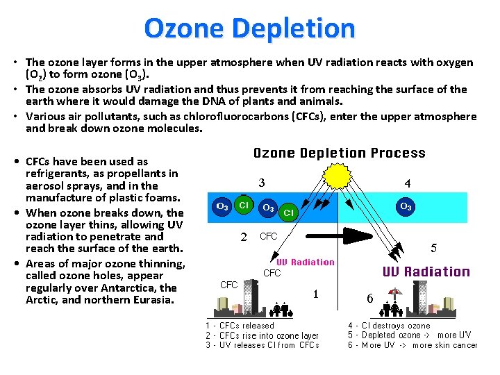 Ozone Depletion • The ozone layer forms in the upper atmosphere when UV radiation Ozone Depletion • The ozone layer forms in the upper atmosphere when UV radiation