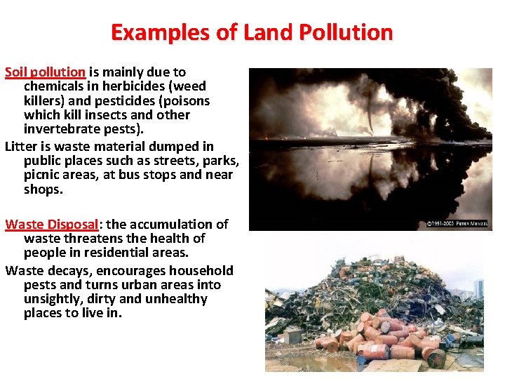 Examples of Land Pollution Soil pollution is mainly due to chemicals in herbicides (weed Examples of Land Pollution Soil pollution is mainly due to chemicals in herbicides (weed