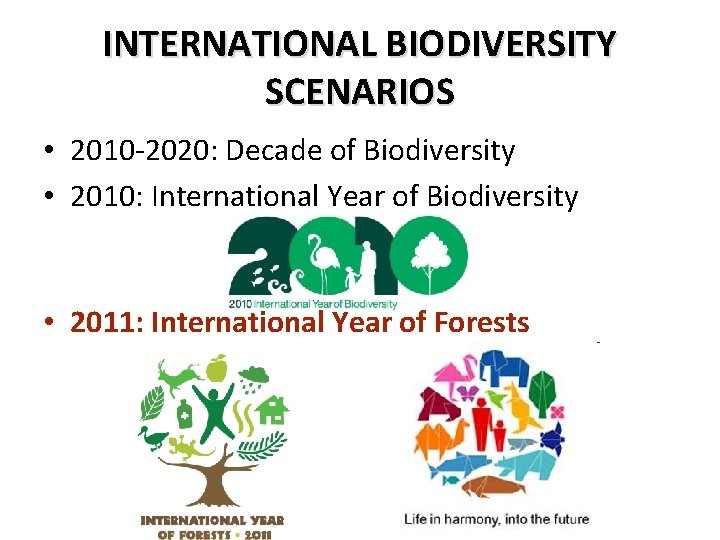 INTERNATIONAL BIODIVERSITY SCENARIOS • 2010 -2020: Decade of Biodiversity • 2010: International Year of INTERNATIONAL BIODIVERSITY SCENARIOS • 2010 -2020: Decade of Biodiversity • 2010: International Year of