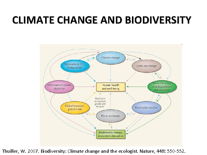 CLIMATE CHANGE AND BIODIVERSITY Thuiller, W. 2007. Biodiversity: Climate change and the ecologist. Nature, CLIMATE CHANGE AND BIODIVERSITY Thuiller, W. 2007. Biodiversity: Climate change and the ecologist. Nature,