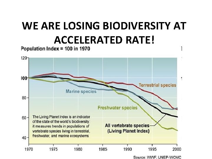 WE ARE LOSING BIODIVERSITY AT ACCELERATED RATE! WE ARE LOSING BIODIVERSITY AT ACCELERATED RATE!