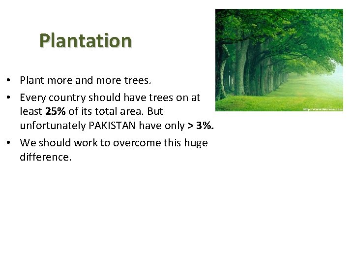 Plantation • Plant more and more trees. • Every country should have trees on Plantation • Plant more and more trees. • Every country should have trees on
