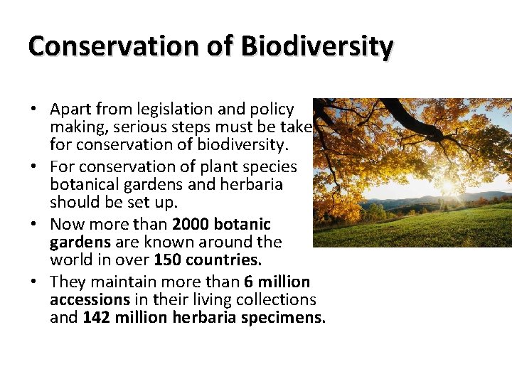 Conservation of Biodiversity • Apart from legislation and policy making, serious steps must be Conservation of Biodiversity • Apart from legislation and policy making, serious steps must be