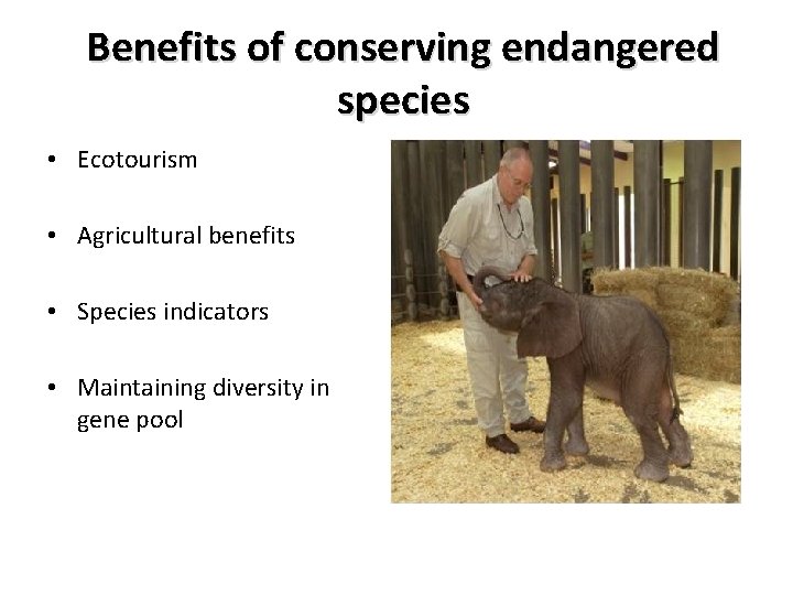 Benefits of conserving endangered species • Ecotourism • Agricultural benefits • Species indicators • Benefits of conserving endangered species • Ecotourism • Agricultural benefits • Species indicators •