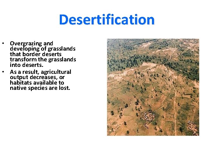 Desertification • Overgrazing and developing of grasslands that border deserts transform the grasslands into Desertification • Overgrazing and developing of grasslands that border deserts transform the grasslands into