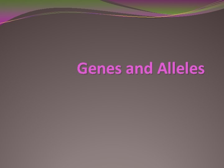 Genes and Alleles 