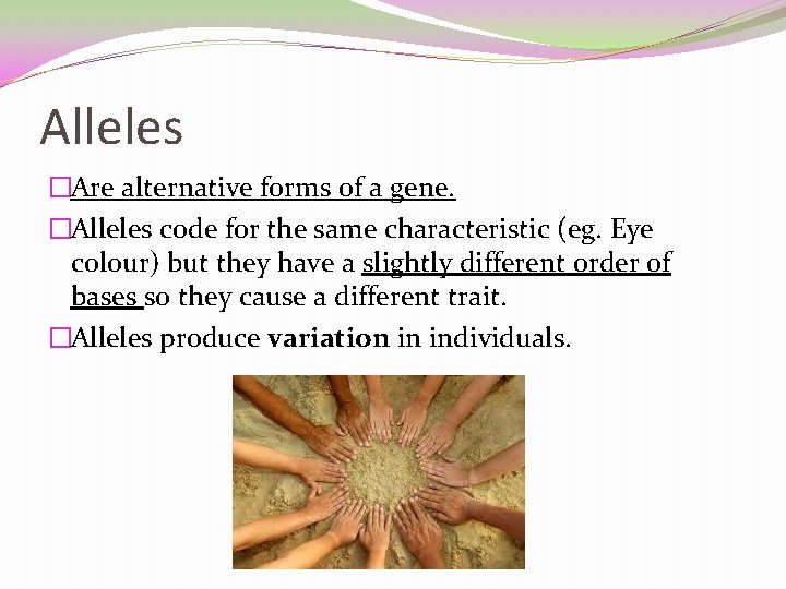 Alleles �Are alternative forms of a gene. �Alleles code for the same characteristic (eg.