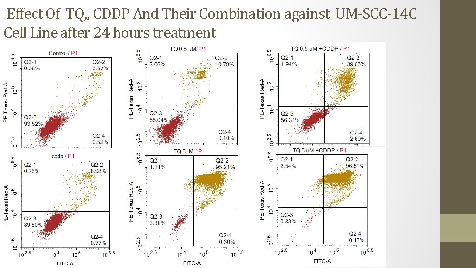 Effect Of TQ, , CDDP And Their Combination against UM-SCC-14 C Cell Line after