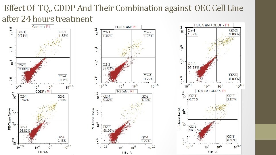 Effect Of TQ, , CDDP And Their Combination against OEC Cell Line after 24